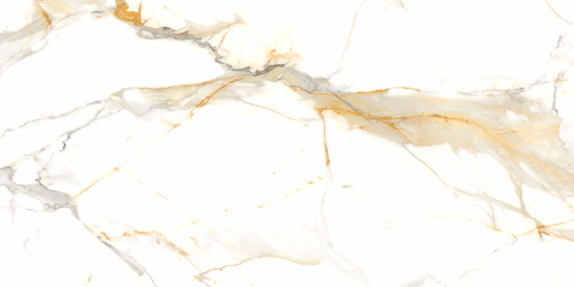 Lamar Poselen Macciha