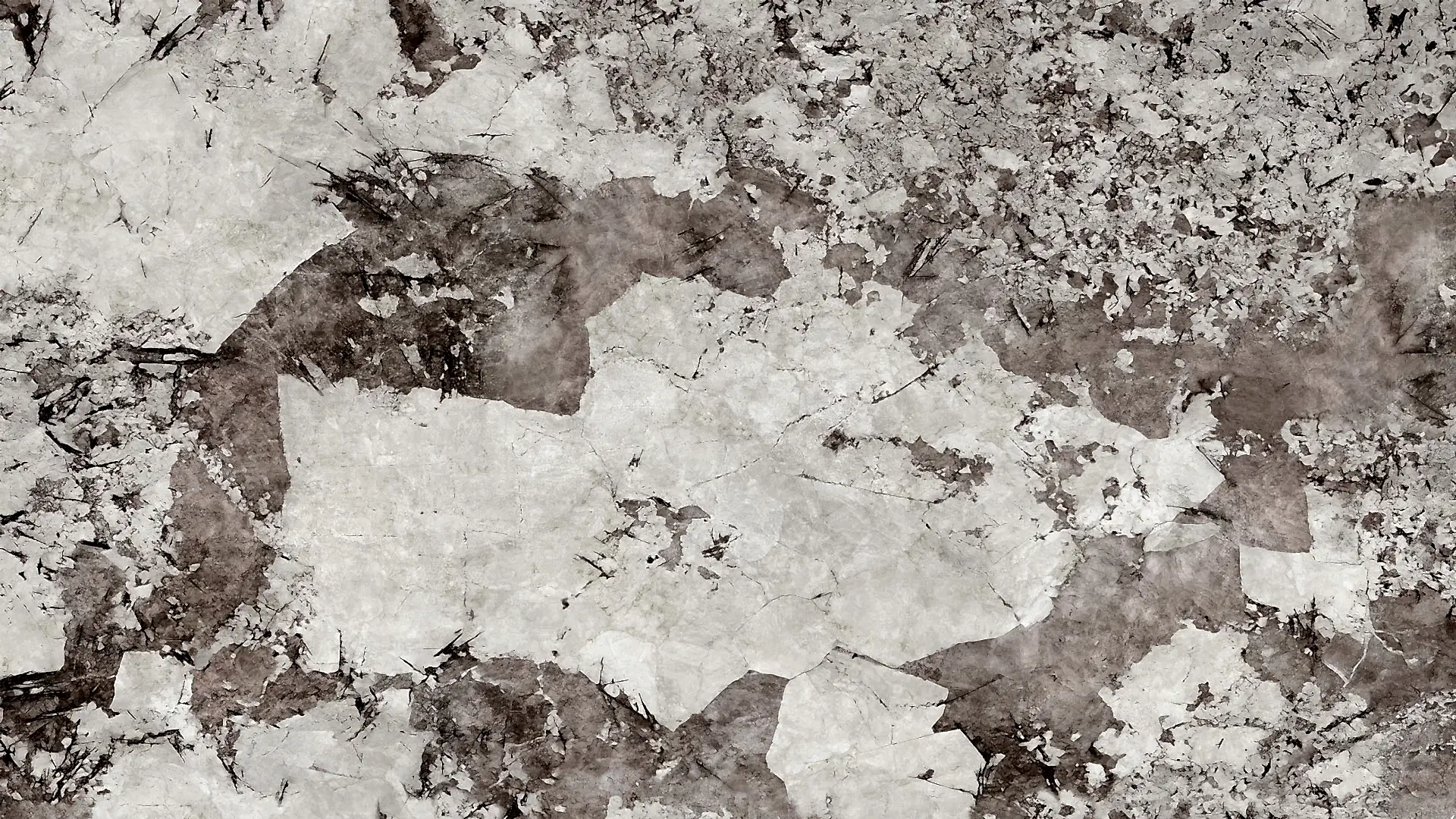 Lamar Poselen Patagonia